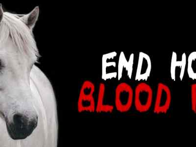 Global Horse Blood&nbsp;Trade